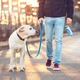 Портативная поилка, походная бутылка для собак с фильтром ELS Pet на 300 мл (Бирюзовый) - изображение 6