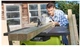 Станок распиловочный Ryobi RTS1800-G (5133002021) - изображение 2