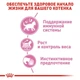 ПАК.Влажный корм Royal Canin KITTEN STERILISED IN GRAVY (Соус) для стерилизованных котят 12шт по 85 г - изображение 5
