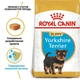 Сухой корм Royal Canin YORKSHIRE PUPPY для щенков породы Йоркширский Терьер 500 г (3182550743464) - изображение 2