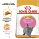 Сухой корм Royal Canin KITTEN BRITISH SHORTHAIR для котят Британской породы 4 кг (3182550816533) - изображение 2