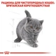 Сухой корм Royal Canin KITTEN BRITISH SHORTHAIR для котят Британской породы 4 кг (3182550816533) - изображение 5