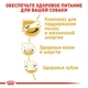 Сухой корм Royal Canin JACK RUSSEL ADULT для взрослых собак породы Джек Рассел Терьер 7.5 кг (3182550821438) - изображение 5