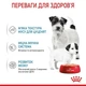 Влажный корм Royal Canin STARTER MOUSSE Cans для собак в период лактации и новорожденных щенков (Паштет) 195 г (9003579311462) - изображение 2