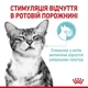 Влажный корм Royal Canin SENSORY FEEL JELLY (Желе) для взрослых кошек привередливых в питании 85 г (9003579018996) - изображение 2