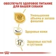 Сухий корм Royal Canin BULLDOG ADULT для дорослих собак породи Бульдог 12 кг (3182550719803) - зображення 2
