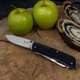 Многофункциональный нож Ruike Trekker LD31-B - изображение 8