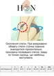 Велосипедки для беременных с V-образным поясом (550103) HN XL Серые - изображение 2