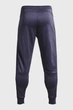 Чоловічі темно-сірі спортивні штани UA AF Storm Pants Under Armour L 1373784-558 - изображение 6