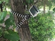 Штатив гнучкий / трипод для телефону з власником, камери, фотоапарата Alitek Flexible Black / white M (A-620330) - зображення 1