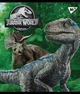 Набор школьных тетрадей 24 листов клетка YES Jurassic World 10 штук - изображение 5