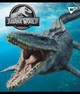 Набор школьных тетрадей 24 листов клетка YES Jurassic World 10 штук - изображение 4