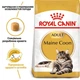 Сухой корм для котов Royal Canin Maine Coon Adult, 400 гр - изображение 3