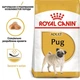 Сухой корм для собак Royal Canin Pug Adult, 3кг+500г - изображение 3
