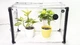 Мини-теплица с фито светом для дома Metaplant Sezam L - изображение 2