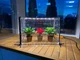 Мини-теплица с фито светом для дома Metaplant Sezam L - изображение 10