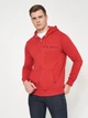 Толстовка на молнии мужская Tommy Hilfiger 10948.3 S (44) Красная с принтом - изображение 1