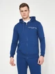 Толстовка на молнии мужская Tommy Hilfiger 10948.4 M (46) Электрик с принтом - изображение 1
