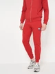 Спортивные штаны мужские Tommy Hilfiger 10963.5 L Красные - изображение 1