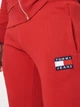 Спортивные штаны мужские Tommy Hilfiger 10963.5 L Красные - изображение 4