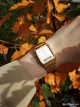 Наручные часы Casio AQ-230GA-9D Золото уникальная модель - изображение 3