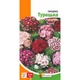 Семена Гвоздика Турецкая (727036) - изображение 2