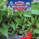 Базилік Мексиканський коричнева Зелений Насіння Florium (716150) - зображення 3