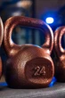 Гиря 24кг чугунная RN-SPORT металлическая, цвет бронза - изображение 5