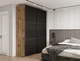 Шкаф купе G-Caiser Doros Тахо / Тахо 2 Стекла 180х60х240 (210025) - изображение 3