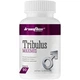 Трибулус IronFlex Tribulus Maximus 1500 mg 90 Tabs - изображение 1