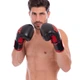 Перчатки боксерские UFC Myau Thai Style UHK-69744 16 унций черный - изображение 5