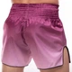 Шорты для тайского бокса и кикбоксинга FAIRTEX BS1904 BLACK/WINE L черный-бордовый - изображение 6