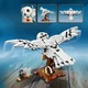 Конструктор Lego Harry Potter Букля 630 деталей (75979) - изображение 3