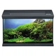 Аквариумный комплект Eheim aquaclass 66л. черный (0340710) - изображение 1