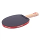 Ракетка DHS Gold Medal Ma Long 03 (carbon blade) - изображение 4