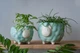 Керамический горшок для растений Mini Plant Овечка Животное мятная, размер 10,5 x 9,5 см - изображение 5