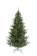 Ялинка лита "Віденська" Зелена 3,00 м (SG2984840022270) ТМ SigaGroup - зображення 1