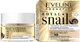Крем для лица с лифтинг эффектом - Eveline Cosmetics Royal Snail 50+ 50ml (587029-9044) - изображение 1