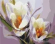 Картина по номерам Крокусы (BS5828) Brushme 40x50 см - изображение 1