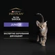 Влажный корм с индейкой для котят Purina Pro Plan Junior Nutrisavour Кусочки в паштете 24×85 г (7613038508641) - изображение 4
