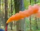 Кольоровий дим для фотосесії Помаранчевий Maxsem MA0511 Orange smoking fountain 60 сек - зображення 3