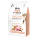 Сухой корм Brit Care Cat GF Sensitive Digestion & Delicate Taste, для привередливых кошек, 400 г - изображение 1