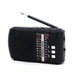 Радиоприёмник аккумуляторный карманный Golon IFC 8BT FM/AM/SW Bluetooth USB - изображение 1