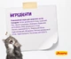 Сухий корм для вибагливих котів Josera Culinesse 10 кг (4032254749134) - изображение 4
