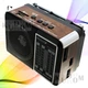 Портативный FM радиоприемник NEEKA NK 204 USB ФМ радио проигрыватель на аккумуляторе та батарейках, Коричневый - изображение 1