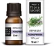 Ефірне масло розмарину - Flora Secret 10ml (58599-21887) - изображение 1