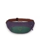 Поясна сумка Osprey Daylite Waist axo green/enchantment purple зелений/фіолетовий - изображение 1