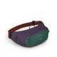Поясна сумка Osprey Daylite Waist axo green/enchantment purple зелений/фіолетовий - изображение 2
