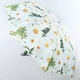 Зонт женский AIRTON (#3916 - 4241) - изображение 1