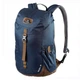 Рюкзак Deuter Walker 16л 3810517 3608 - изображение 2
